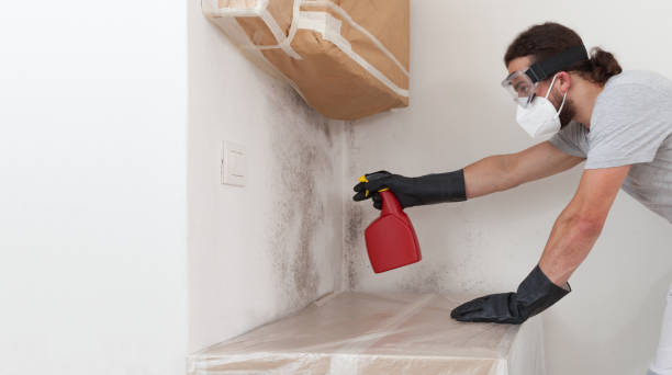 Attic Mold Remediation treatment on roof deck in Ephrata